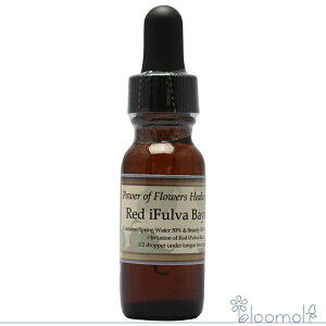 bhACt@oC[ACX p[Iut[q[O CWAiEACXELbg