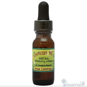 GiWCY~[ p[Iut[q[O A[oGbZVY