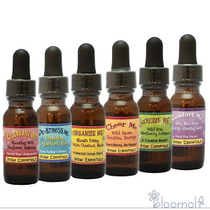 t[GbZX p[Iut[q[O A[oGbZVY A[oGbZVY S6{