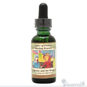 t[GbZX p[Iut[q[O `huh r[eB[r[Xg Beauty and the Beast