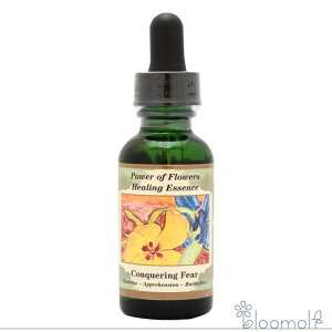 �t�����[�G�b�Z���X �p���[�I�u�t�����[�q�[�����O �`���h�����u�����h �R���J�����O �t�B�A�[ Conquering Fear