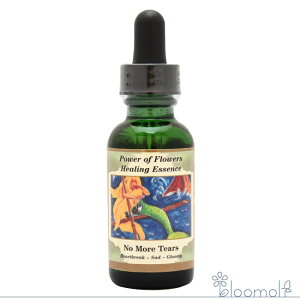 t[GbZX p[Iut[q[O `huh m[ A eBA[Y No More Tears