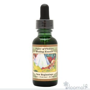 t[GbZX p[Iut[q[O `huh j[ rMjO New Beginnings