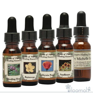 t[GbZX p[Iut[q[O ̑ X^[^[Lbg