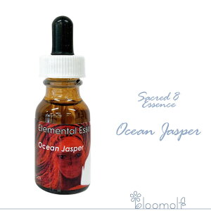 t[GbZX ZCNbhGCgGbZX G^GbZX I[VWXp[ Ocean Jasper