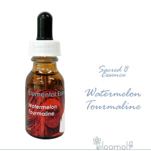 �t�����[�G�b�Z���X �Z�C�N���b�h�G�C�g�G�b�Z���X �G�������^���G�b�Z���X �E�H�[�^�[�������g���}���� Watermelon Tourmaline