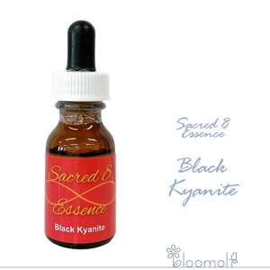 t[GbZX ZCNbhGCgGbZX WI}V[ hq[OLbg ubNJCiCg Black Kyanite