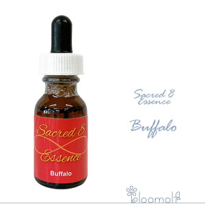 t[GbZX ZCNbhGCgGbZX WI}V[ hq[OLbg obt@[ Buffalo