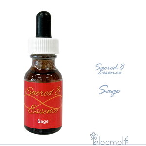 t[GbZX ZCNbhGCgGbZX WI}V[ hq[OLbg Z[W Sage