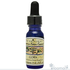 t[GbZX XsbgClC`[ R[ oC^eB[