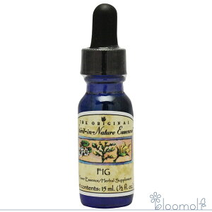 t[GbZX XsbgClC`[ tBO _