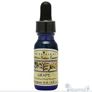 t[GbZX XsbgClC`[ O[v 