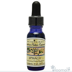 t[GbZX XsbgClC`[ Xsib` Vv