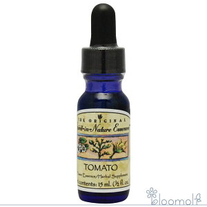 t[GbZX XsbgClC`[ g}g EC