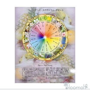 t[GbZX XsbgClC`[ ̑ GbZXEXyNgE`[g