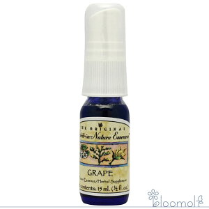 t[GbZX XsbgClC`[ Xv[ O[vXv[ 15ml