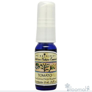 t[GbZX XsbgClC`[ Xv[ g}gXv[ 15ml