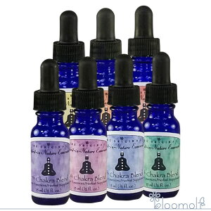 t[GbZX XsbgClC`[ Zu`Nuh Zu`NuhZbg S7{