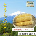 【青森2025年度産 先行予約】トウモロコシ とうもろこし 嶽きみ だけきみ 青森 朝採れ 2025年産 コーン 10本入り M/Lサイズ 秀品 産地直送 ブランド品種 甘い おいしい 期間限定 お取り寄せ グルメ 送料無料 ※ 真空パック ふるさと納税 ではありません