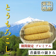 【青森 2026年度産 先行予約】トウモロコシ とうもろこし 嶽きみ だけきみ 青森 朝採れ 2026年産 コーン …
