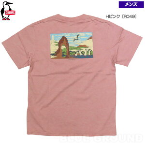 ݌ɃZ[50%It `X / Ukiyo-e TVc G Y E obNvg I[KjbN Rbg  AEghA uh  CHUMS