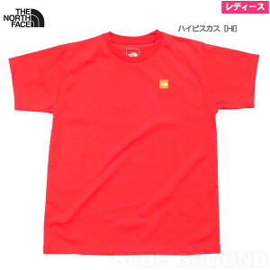 ݌ɃZ[52%It UEm[XEtFCX / X[{bNXS Tee fB[X E hC  Rbg  |Cg Vv  T TVc AEghA uh  THE NORTH FACE 