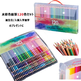 楽天市場 色鉛筆女の子の通販