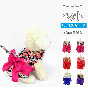 yő20OFFN[|z ybgpi n[lXƃ[h 2_Zbg LpxXg^n[lX[h XgXy S M L ؂₩ŉ₩Șa̐FS8  ʋC@2ӏ