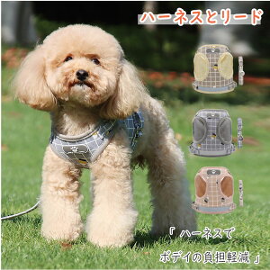 yő20OFFN[|z ybgp p n[lXƃ[h2_Zbg xXg^n[lX[h ybgObY pi }WbNe[vƃobNŊJ EȒP XS S M L XL iȃ`FbN 