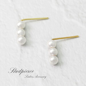 sAX p[ VRLb` fB[X ANZT[ i GKg  w Ǝ p[eB[  킢 ̓ zCgf[ v[g Mtg NX}X  l