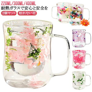 t[ ۗ 220ml/300ml/400ml }OJbv ϔMOX d\ _uEH[ 2Zbg IȂ Rbv R[q[  _uEH[ ۉ OXJbv eB[Jbv   