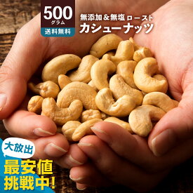 ＼ 最安値挑戦 ／ カシューナッツ 「愛すべきナッツ 素焼きカシューナッツ 500g」 送料無料 ［ ベトナム産 無添加 無塩 素焼き 素煎り 小分け 菓子材料 セット ]