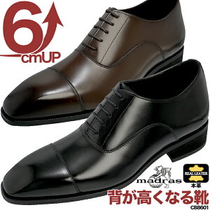 V[NbgV[Y 6cm }hX {v 6cmAbv Xg[g`bv  VY p[eB[  n̓ LO ʂȓ hXV[Y tH[}V[Y Y rWlX