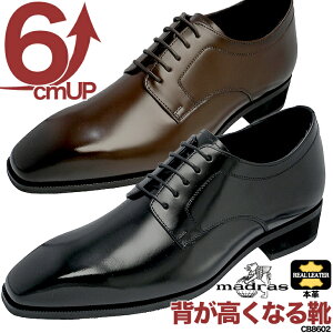 V[NbgV[Y 6cm }hX {v 6cmAbv Xg[g`bv  VY p[eB[  n̓ LO ʂȓ hXV[Y tH[}V[Y Y rWlX