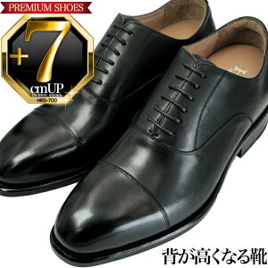 V[NbgV[Y {v ObhC[@ 7cmAbv rWlXV[Y  VY p[eB[  LO n̓ ʂȓ hXV[Y tH[}V[Y Y amC 