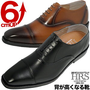 6cmAbv V[NbgV[Y HRSV[Y ō{vgp nhCh V[NbgV[Y 6cm H Xg[g`bv {v rWlXV[Y Xg[g`bv Y amC V[