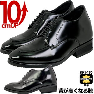 V[NbgV[Y 10cm {v Y rWlXV[Y tH[}V[Y hXV[Y wȂC gAbv 10cmgAbv U`bv HRȃfUCŊO͋C