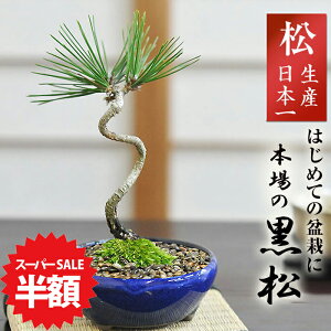 yX[p[SALEz ʏ퉿i4,380~2,190~z~   ~j~ ~j ~ ~j S  ߂~ fXN  v[g Mtg ~̓Mtg a LO j j