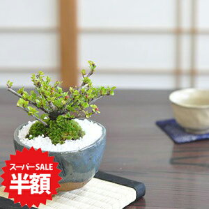 yX[p[SALEz ʏ퉿i9,289~4,644~z~ xjV^ gh ~j~ ̂Ȃ~ ~jTCY Ԃ   S  ӏ ~ ׂɂ ~͖ hV̓