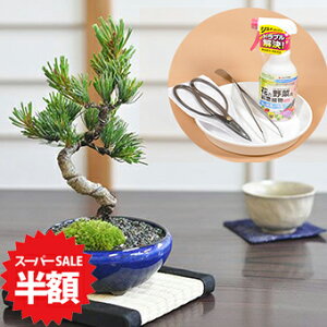 yX[p[SALEz ʏ퉿i15,999~7,999~z~jܗtƂ͂߂ēZbg ~j~ nT~ sZbg  |g[ ~͓ S   ӏ܂ Ă₷ܗt