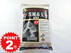 |Cg2{`11܂ŁIdԋʓy@܁@14bg@10kg@5mmy~ py  z Aւ p {ibonsai{TCz