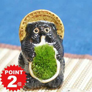 |Cg2{`11܂ŁIۖ~ ~j~  ʂ My |t CeAO[  fXN MyK ۃ| qK 킢 ~  bonsai {TC ~ jv[g 