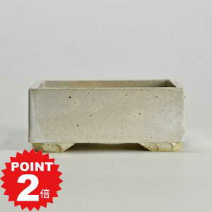 |Cg2{`11܂ŁI~͔ R쑐  4 p 픫   12cm   5cm ~j~͔ R쑐 _ m ~j  ~͏   ` ^lp zCg