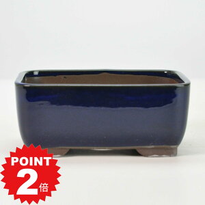 |Cg2{`11܂ŁI~͖yˏāz ifp 4.5 q 13.8cm×s9.4cm×5.6cm R쑐 ϗtA A ` p