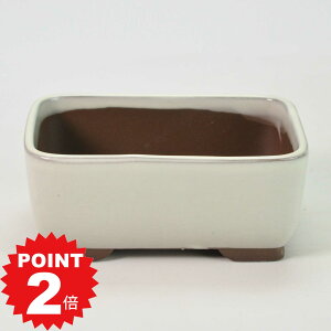 |Cg2{`11܂ŁI~͖yˏāz ifp 4.5 N[ 13.8cm×s9.4cm×5.6cm R쑐 ϗtA A ` p