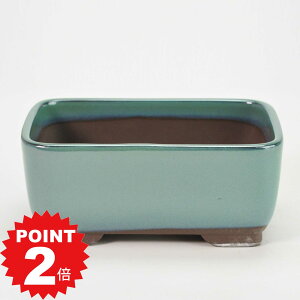 |Cg2{`11܂ŁI~͖yˏāz ifp 4.5 Ix 13.8cm×s9.4cm×5.6cm R쑐 ϗtA A ` p