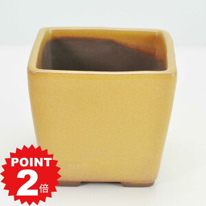 |Cg2{`11܂ŁI~͖yˏāz p 3  8.5cm×8cm ~͔ R쑐 Aؔ p  ~ R쑐 ϗtA A