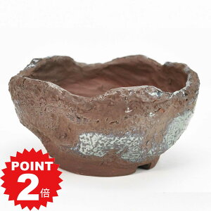 |Cg2{`11܂ŁI~͖yÏāz IxU 4.5 ەϐ[ 14cm×7.3cm ~͔ R쑐 Aؔ ~ R쑐 ϗtA A