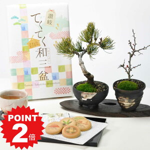 |Cg2{`11܂ŁI~ ~j~ aO~NbL[Əƒ~̃yAZbg Mtg Mtg v[g A XC[c Ăَq bonsai ̓