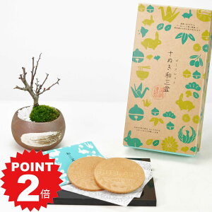 |Cg2{`11܂ŁI~ ~j~ aO~S[tbgƃ~j~ nP۔ Mtg Mtg v[g A XC[c Ăَq bonsai ̓